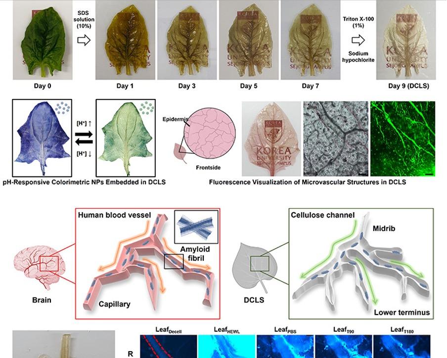 생체나노공학연구실