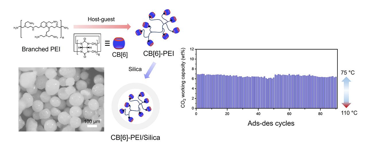 연구 관련 사진